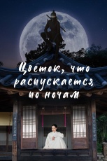 Ночной цветок смотреть онлайн